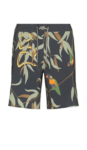 Passage Swim Short in . Size 30, 32, 33, 34 - ROARK - Modalova