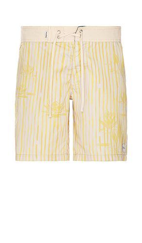 Lily Stripe Swim Trunk in . Size 32, 34, 36 - Rhythm - Modalova