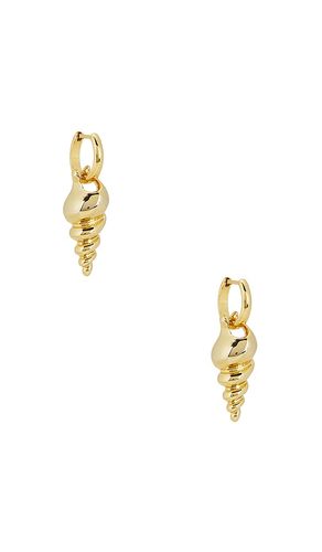 BOUCLES D'OREILLES CONCH en - Roxanne Assoulin - Modalova