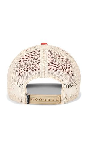 CASQUETTE DISTRESSED en - Ryoko Rain - Modalova