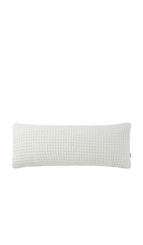 OREILLER LOMBAIRE TISSU GAUFRÉ CONFORTABLE SNUG WAFFLE LUMBAR PILLOW in - Sunday Citizen - Modalova