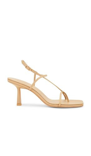ESCARPINS CROSS FRONT 70 en . Taille 35. Also en 37, 38, 39, 40 - Studio Amelia - Modalova