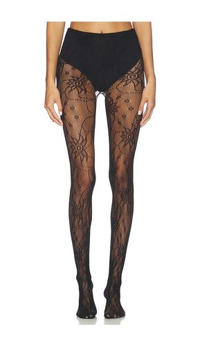 COLLANTS WILD FLOWER en - Stems - Modalova