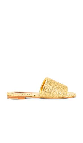 SANDALES METALLIC RAFFIA SALERNO in . Size 37, 38, 39, 40 - SIMONMILLER - Modalova