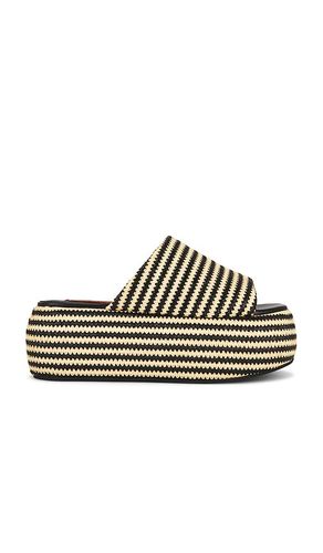 SANDALES STRIPE RAFFIA CLOUDY PLATFORM en ,. Taille 37. Also en 38, 39, 40 - SIMONMILLER - Modalova