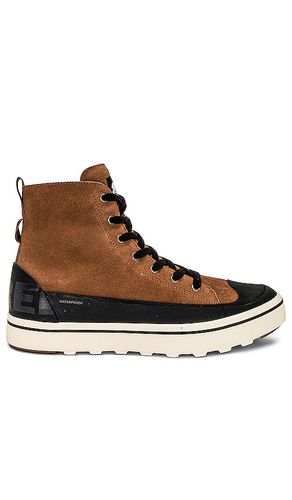 SNEAKERS in . Size 11, 8 - Sorel - Modalova