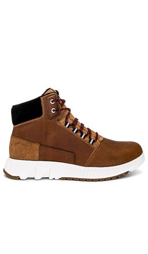 Sorel SNEAKERS in Tan. Size 7.5, 8 - Sorel - Modalova