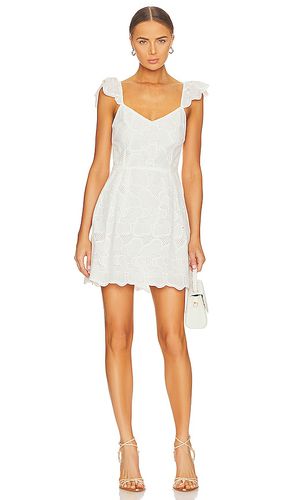 ROBE SIERRA in . Size 2, 4, 6, 8 - Steve Madden - Modalova