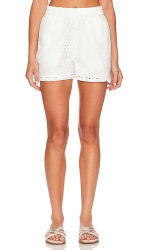 SHORT CARAL in . Size XL - Steve Madden - Modalova