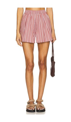 Malena Short en . Taille L. Also en XL - Steve Madden - Modalova
