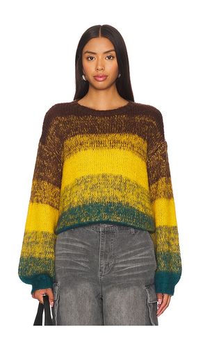 PULL LUCIE in . Size M, XL, XS - Steve Madden - Modalova