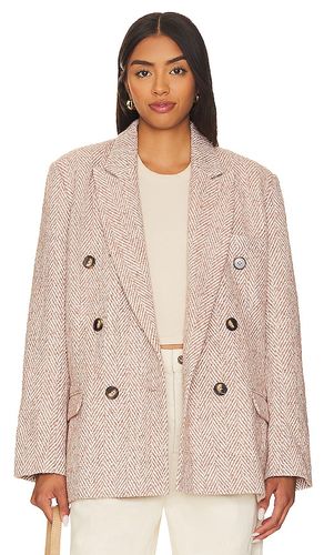 VESTE DARCIE en . Taille L. Also en XL - Steve Madden - Modalova