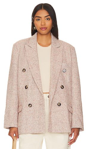 VESTE DARCIE in . Size S, XL - Steve Madden - Modalova