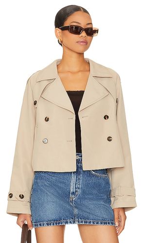 BLOUSON SIRUS in . Size M, S, XL, XS - Steve Madden - Modalova