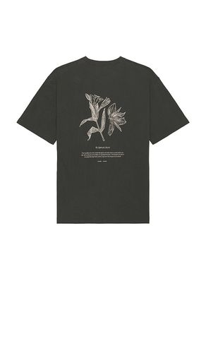 Salilium T-Shirt in . Size M, S, XL/1X - SAMSOE SAMSOE - Modalova