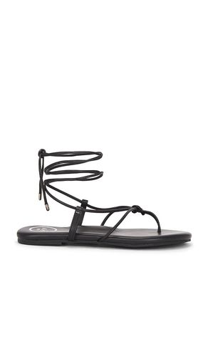 SANDALES ANGIE en . Taille 10. Also en 6, 8, 9 - Solei Sea - Modalova