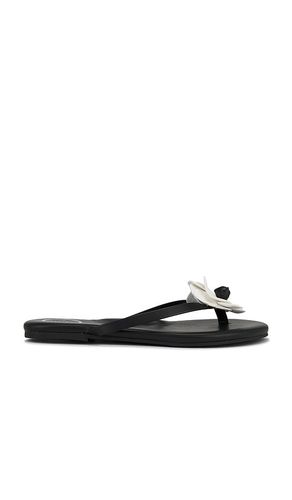 SANDALES VALENTINA in . Size 6, 7, 8, 9 - Solei Sea - Modalova
