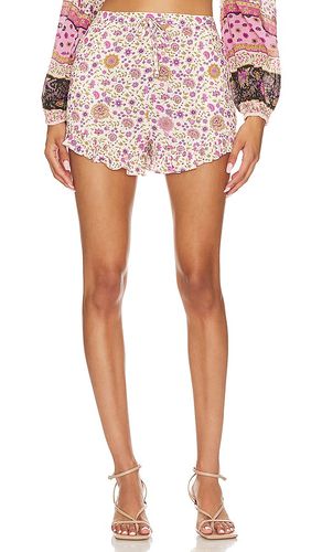 Lady Untamed Short in . Size XXXL - SPELL - Modalova