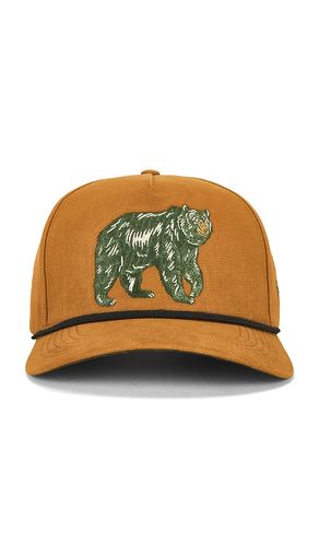 CASQUETTE BEAR in - Sendero Provisions Co. - Modalova