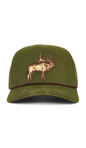 CASQUETTE ELK in - Sendero Provisions Co. - Modalova
