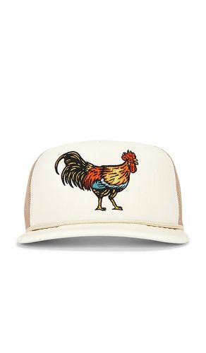 CHAPEAU YARDBIRD en - Sendero Provisions Co. - Modalova