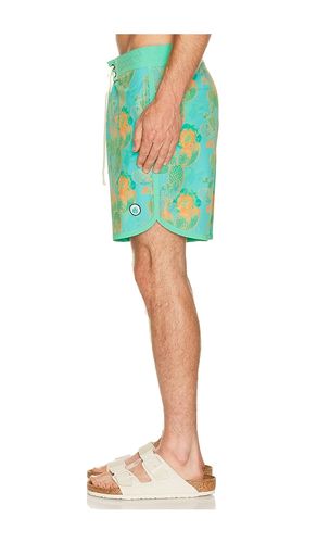 Point Bar Boardshort en . Taille 30. Also en 32, 34, 36 - Sendero Provisions Co. - Modalova