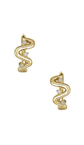 BOUCLES D'OREILLES en - STONE AND STRAND - Modalova