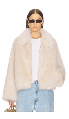 BLOUSON ERIN en . Taille L. Also en M, S, XS - SRG - Modalova