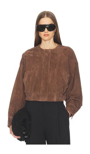 BLOUSON DANICA en . Taille S. Also en XS, M, L, XL - SRG - Modalova