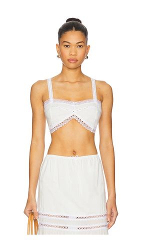 Fine Lace Bralette in . Size M, XS - SWF - Modalova