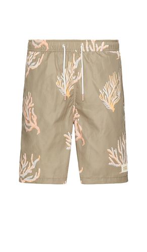 Long Length Swim Short in . Size M, S, XL/1X - Scotch & Soda - Modalova