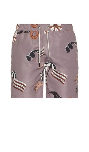 SHORT in . Size M, S, XL/1X - Scotch & Soda - Modalova
