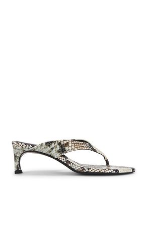 MULES KITTEN HEEL en . Taille 36. Also en - ROTATE - Modalova