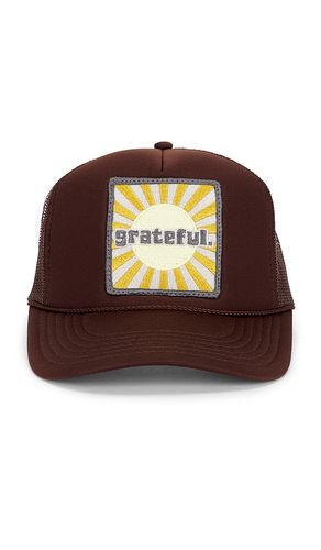CASQUETTE GRATEFUL en - Friday Feelin - Modalova