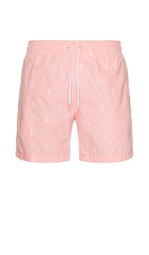 SHORT DE BAIN SANO in . Size M, S, XL/1X - Trunks Surf & Swim Co. - Modalova