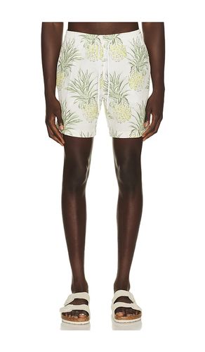 SHORT DE BAIN SANO en ,. Taille L. Also en S, XL/1X - Trunks Surf & Swim Co. - Modalova