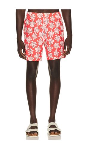 SHORT DE BAIN SANO en . Taille S. Also en M, L, XL/1X - Trunks Surf & Swim Co. - Modalova