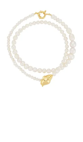 COLLIER SHELLY in - Timeless Pearly - Modalova
