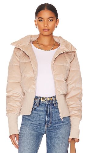 BLOUSON MATELASSÉ NEW AMSTERDAM en . Taille L. Also en S, XS - Unreal Fur - Modalova