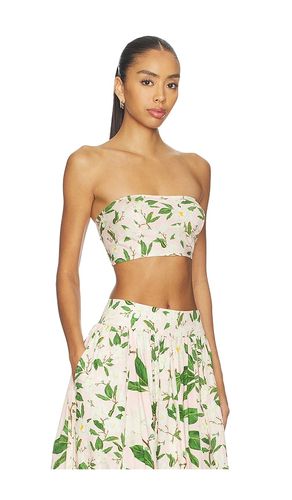Bandeau en . Taille S. Also en M, L, XL - Verandah - Modalova
