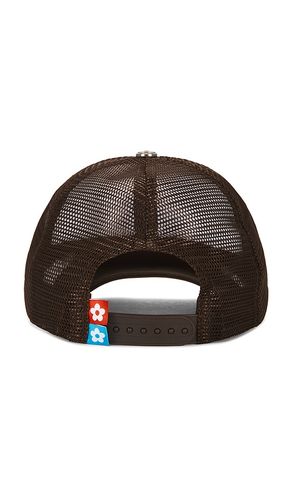 VANDYTHEPINK CASQUETTE en Brown - VANDYTHEPINK - Modalova