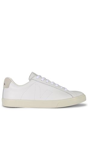 SNEAKERS in . Size 40, 41, 42, 43 - Veja - Modalova