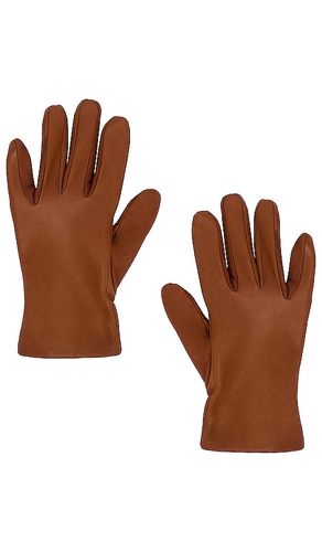 GANTS EN CUIR CLASSIQUE in . Size M, S, XL - Vince - Modalova