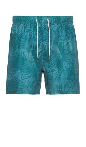 Ponji Swim Volleys Short in . Size L, XXL/2X - Vintage Summer - Modalova