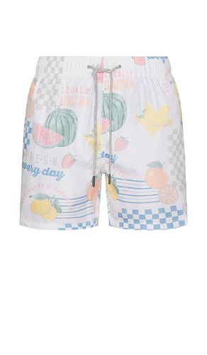 SHORT in . Size XL/1X, XXL/2X - Vintage Summer - Modalova