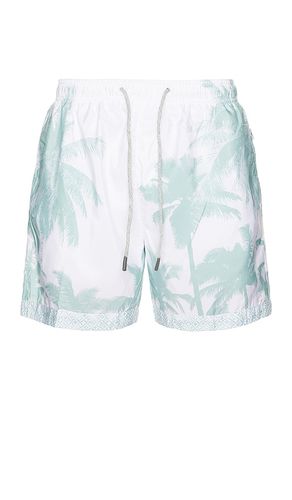 SHORT en . Taille L. Also en M, S, XL/1X, XXL/2X - Vintage Summer - Modalova