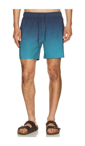 Performance Stretch Lined Volleys en . Taille L. Also en XL/1X, XXL/2X - Vintage Summer - Modalova