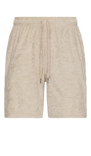 Towel Terry Short in . Size XXL/2X - WAO - Modalova