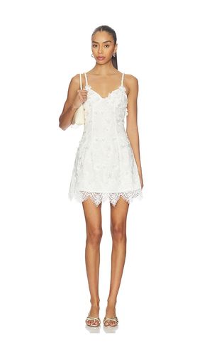 ROBE VIOLE en . Taille S. Also en XS - Waimari - Modalova