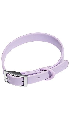 COLLIER POUR CHIEN DOG COLLAR in - Wild One - Modalova